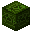 Green Stone Brick Turtle Hieroglyph