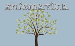 Enigmatica 6