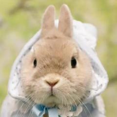 讨厌你の兔兔