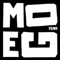 TeamMoeg