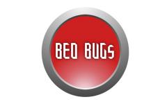 修复卡床 (Bed Bugs)