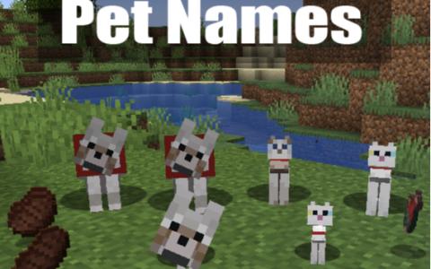 宠物名字 (Pet Names)