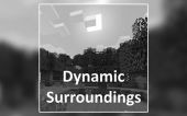 动态环境：周边环境 (Dynamic Surroundings: Environs)