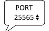自定义局域网端口 (Custom LAN Ports)