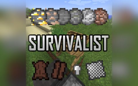 生存主义 (Survivalist)