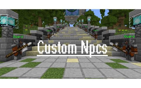 自定义NPC：重生 (Custom NPCs Reborn)