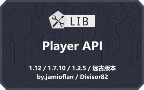 玩家API (Player API)