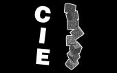[CIE]Configurable Item Entities