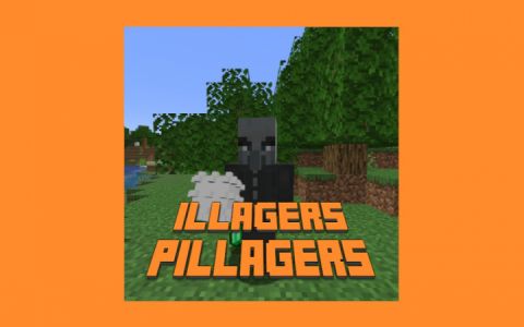 Illagers & Pillagers