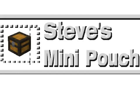 Steve's Mini Pouch