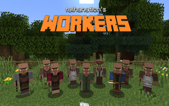 Villager Workers
