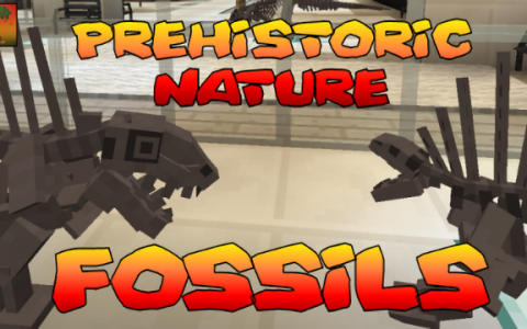 Prehistoric Nature Fossils