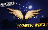 Cosmetic Wings