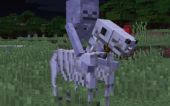 Skeleton Horse Spawn