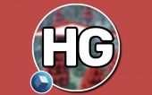 [HG] Hang Glider