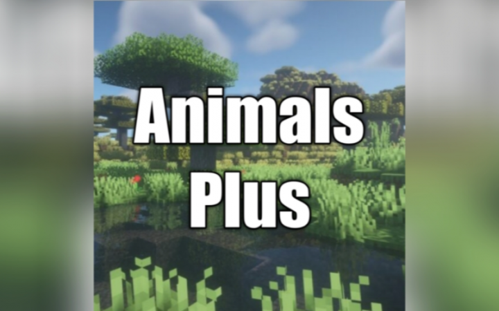 Animals Plus