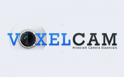 体素相机 (VoxelCam)