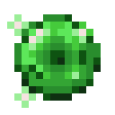 绿珍珠 (Green Pearl)
