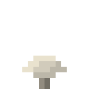 双孢蘑菇 (Portobello)