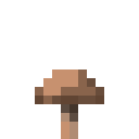 棕色蘑菇 (Brown Mushroom)