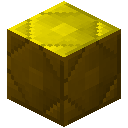 琥珀块 (Block of Amber)
