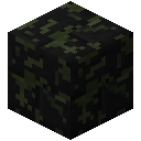 苔藓黑色花岗岩砖块 (Mossy Black Granite Bricks)