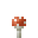 斑点蘑菇 (Spotted Mushroom)
