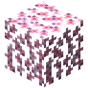 粉色樱花树树叶 (Pink Cherry Leaves)