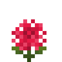 红色绣球花 (Red Hydrangea)