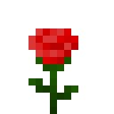红玫瑰 (Red Rose)