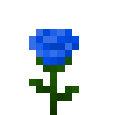 蓝玫瑰 (Blue Rose)