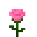 粉玫瑰 (Pink Rose)