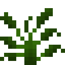 杜鹃花 (Philodendron duckei)