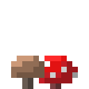 蘑菇煲原料 (Mushrooms)