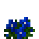 蓝色花 (Blue Flower)