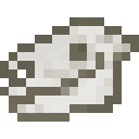 斑驴头骨 (Quagga Skull)