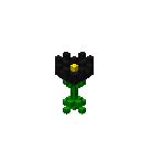 黑色花 (Black Flower)