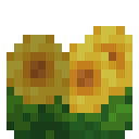 Sunflower Bush (Sunflower Bush)