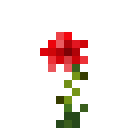 玫瑰 (Rose)