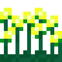 水仙 花丛 (Daffodil Cluster)