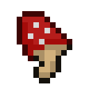致幻蘑菇 (Psilocybin mushrooms)
