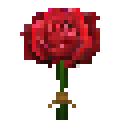 新鲜的玫瑰花束 (Raw Rose Stack)