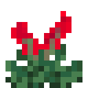 Scarlet Blossom (Scarlet Blossom)