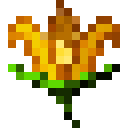 Sunny Flower (Sunny Flower)