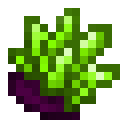 绿色晶簇 (Green Druse)