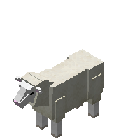 陶赛特羊(母羊) (Dorset Ewe)