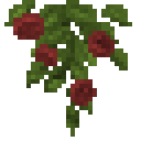 Red Drooping Rose (Red Drooping Rose)