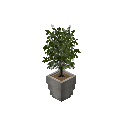 盆栽树 1 (Potted Tree 1)