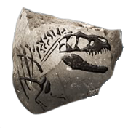 Albertosaurus Skull (Albertosaurus Skull)