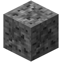 Cyatheales Fern Fossil Block (Cyatheales Fern Fossil Block)